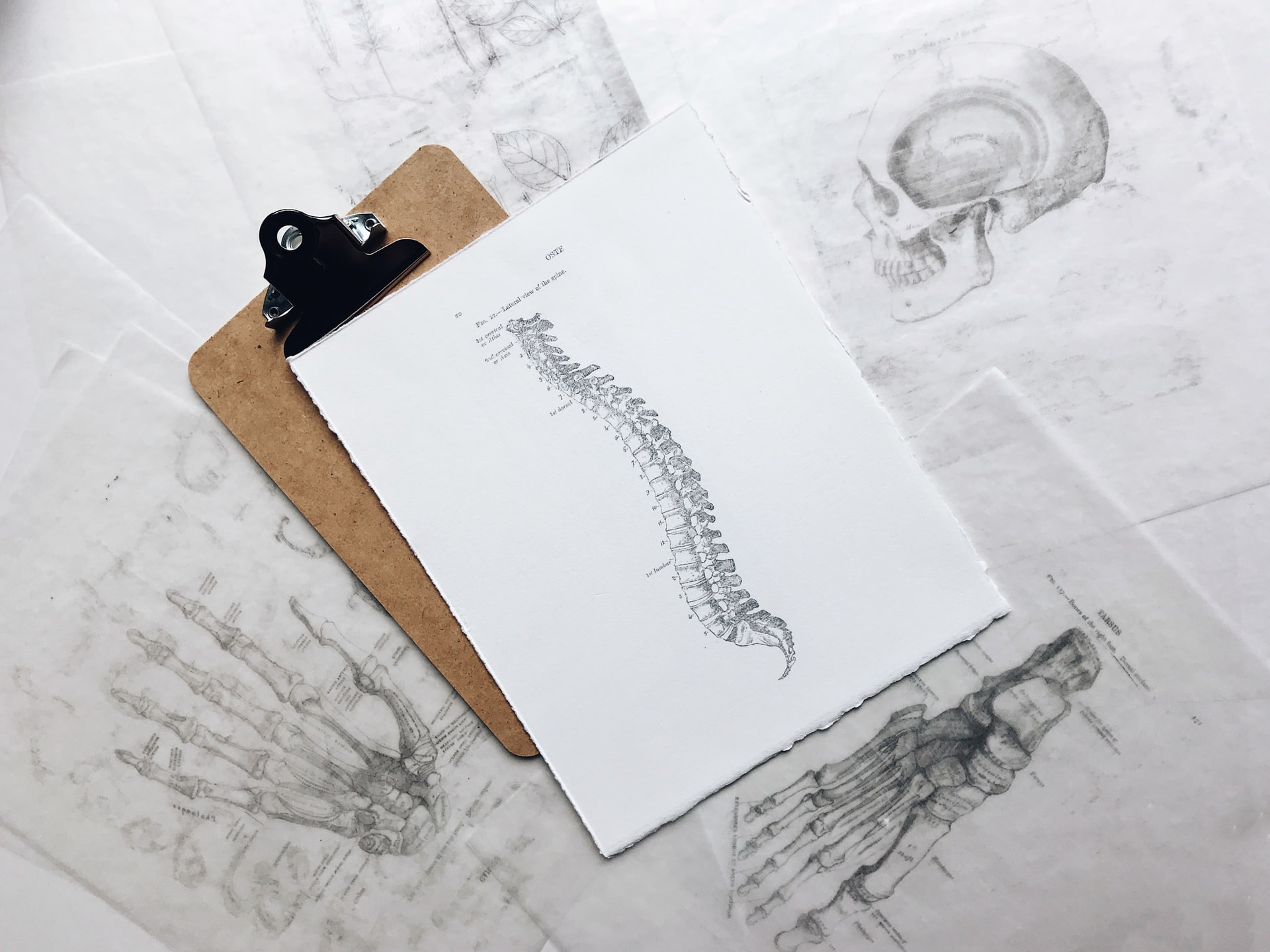 How to Improve Posture