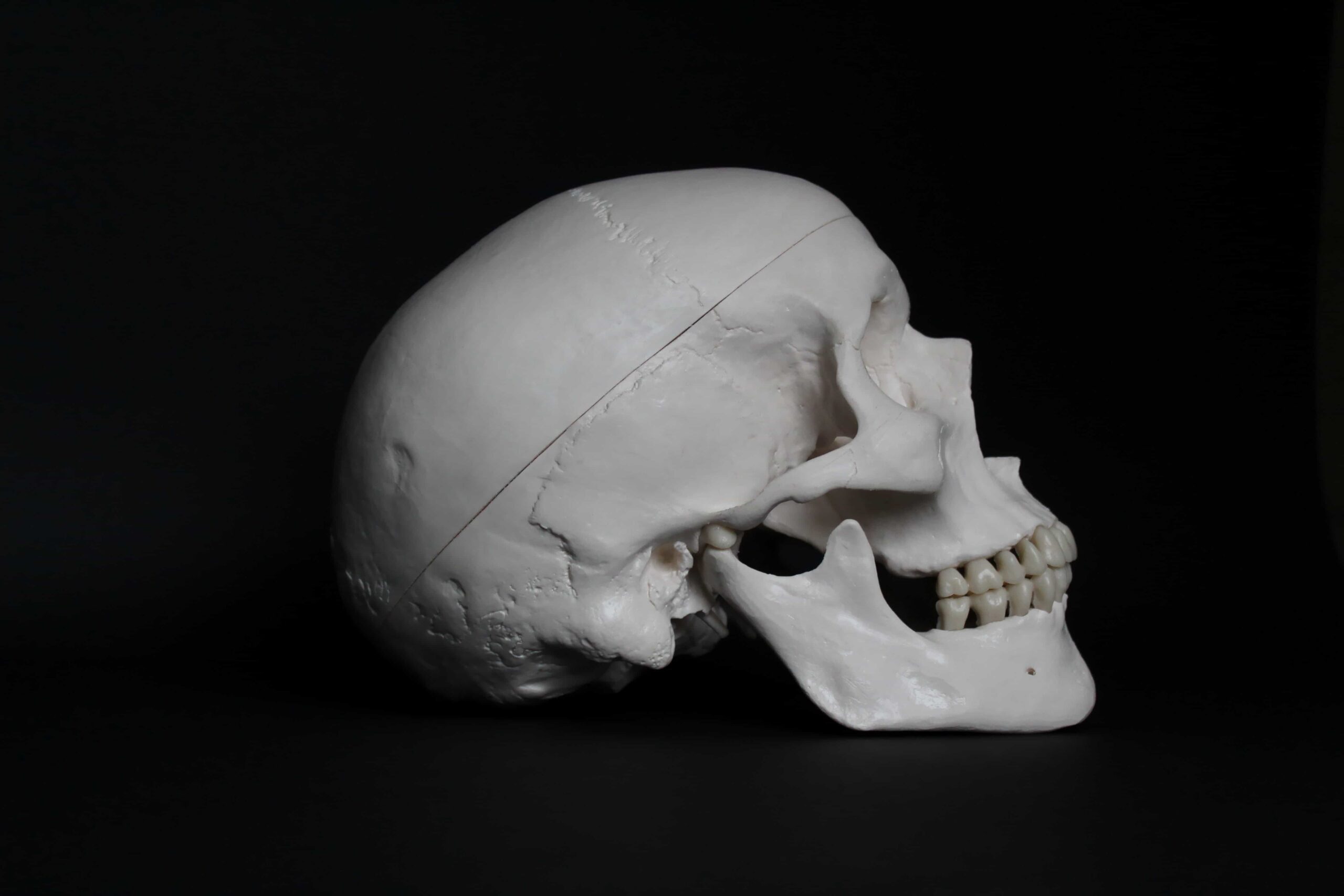 The Best Jaw Excerciser Guide