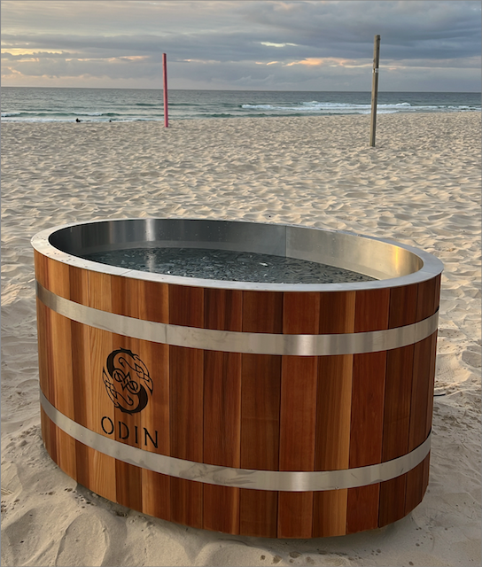 Odin Plunge Review