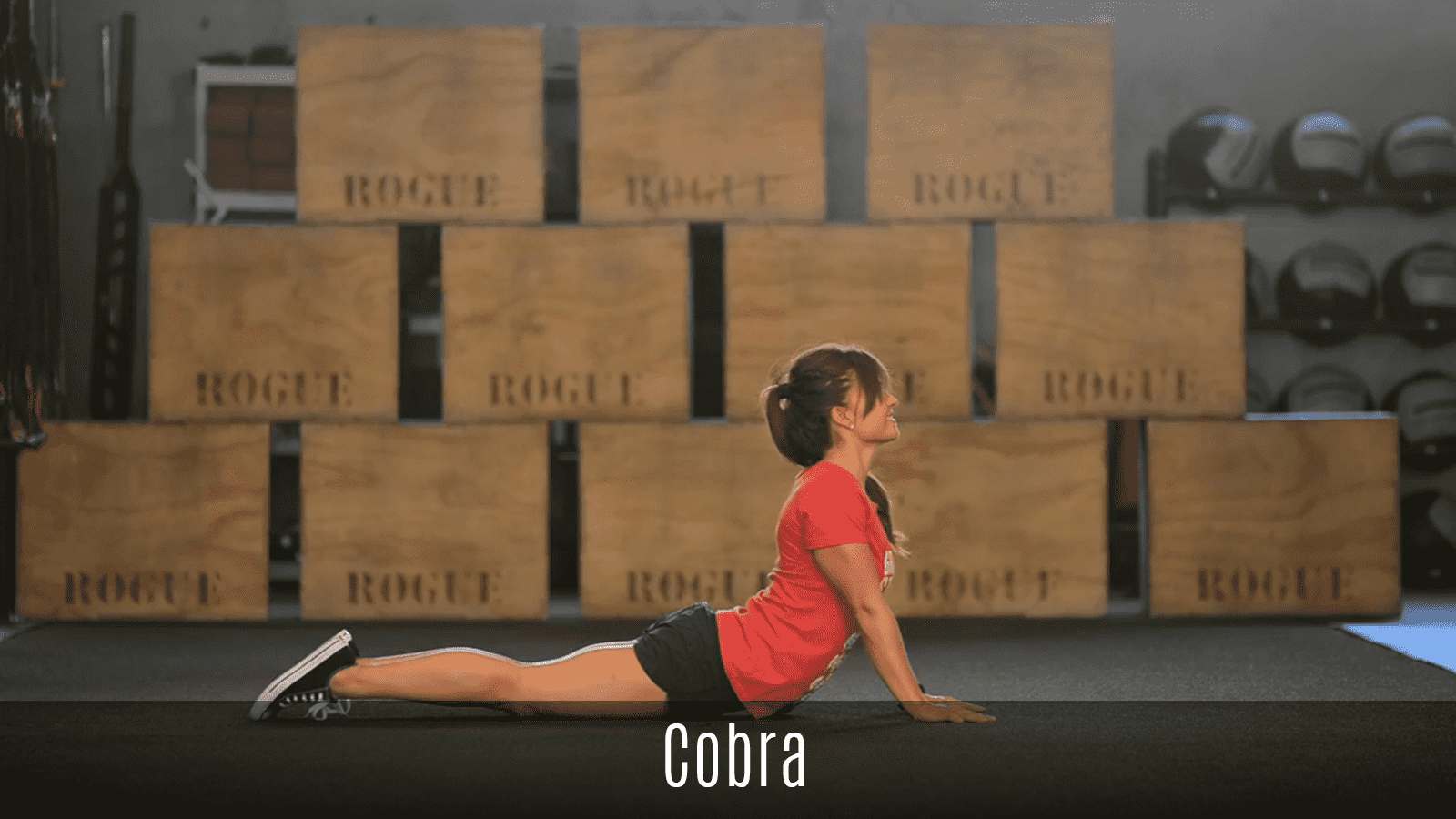 cobra