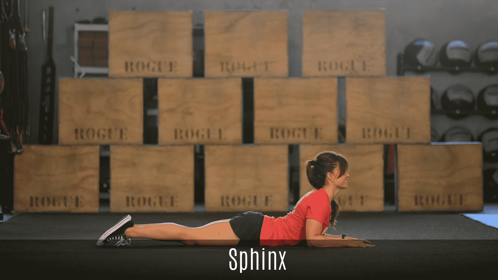 sphinx